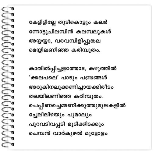 Picture of the product