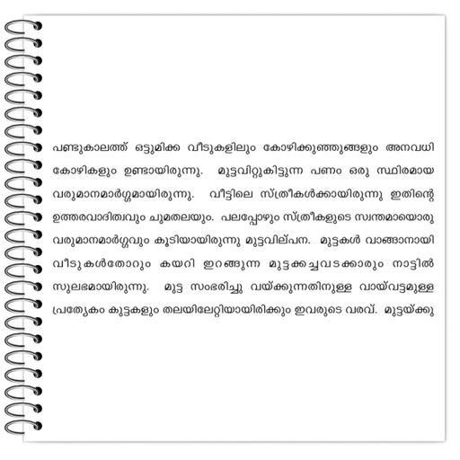 Picture of the product