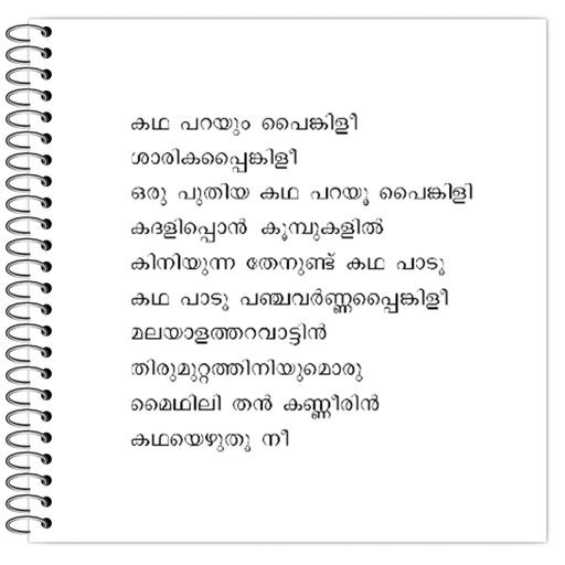 Picture of the product