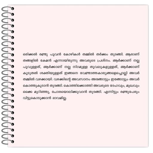 Picture of the product