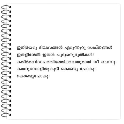 Picture of the product