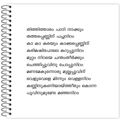 Picture of the product