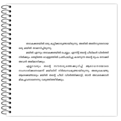 Picture of the product