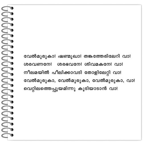 Picture of the product