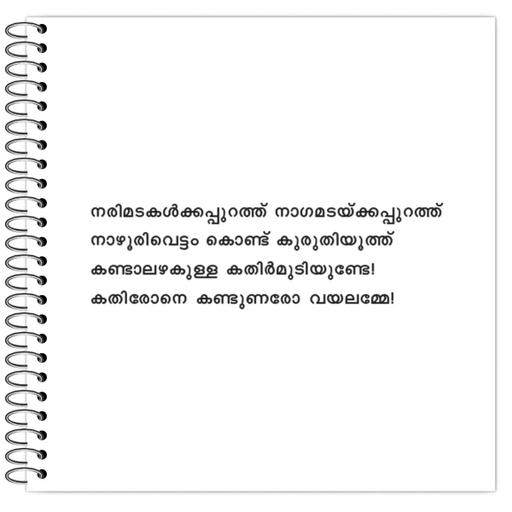 Picture of the product