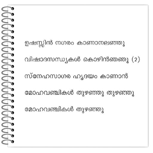 Picture of the product