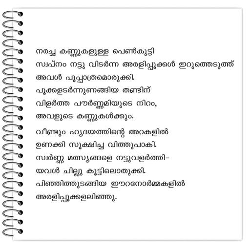 Picture of the product