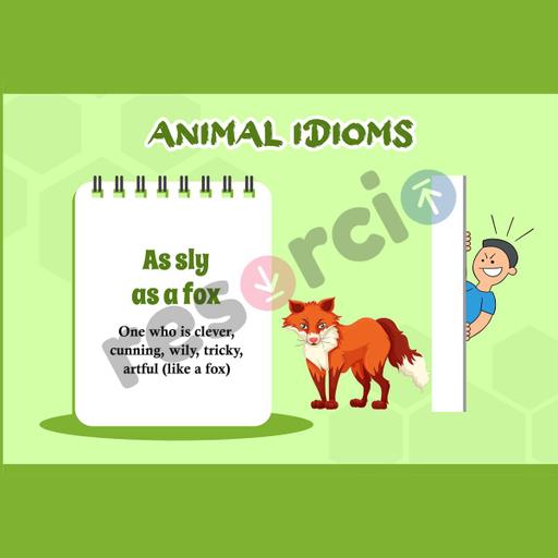 Picture of the product