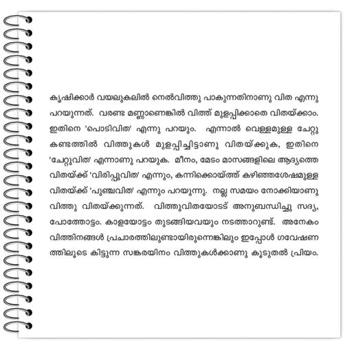 Picture of the product