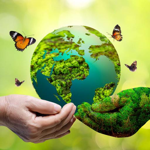 Picture of the product