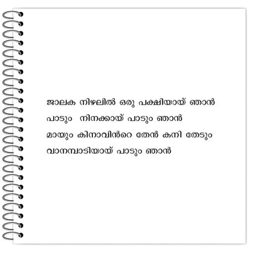 Picture of the product