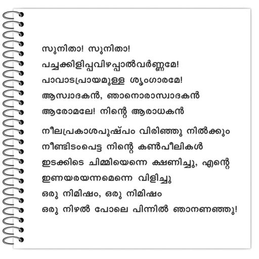 Picture of the product