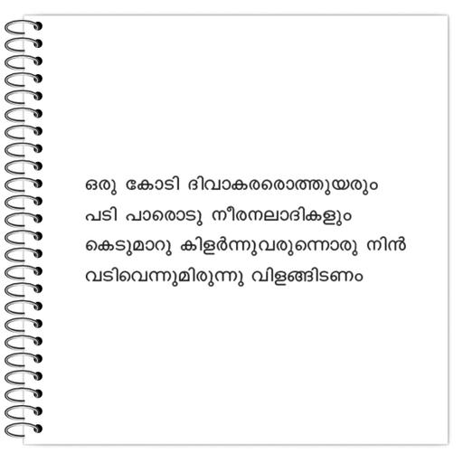 Picture of the product