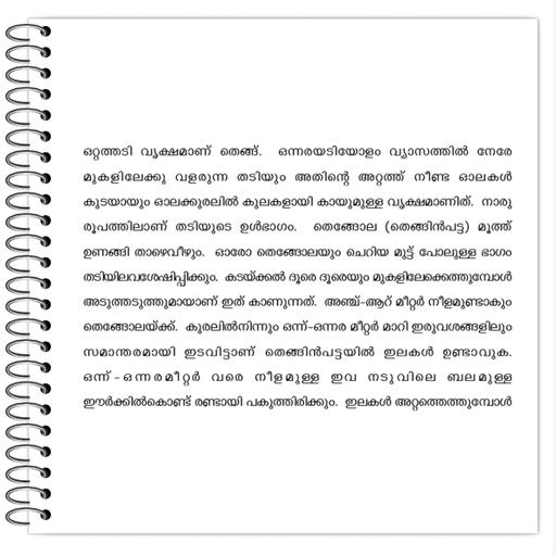 Picture of the product