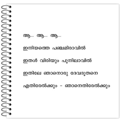 Picture of the product