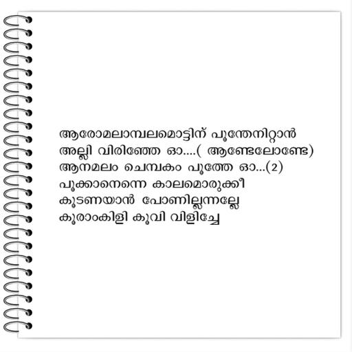 Picture of the product