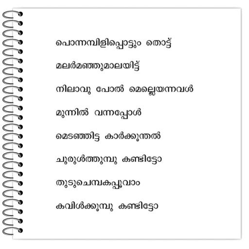 Picture of the product