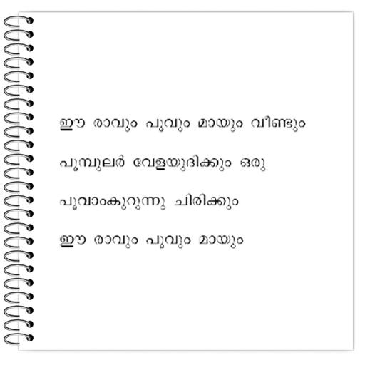 Picture of the product