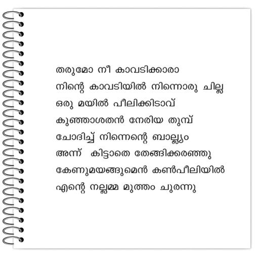 Picture of the product