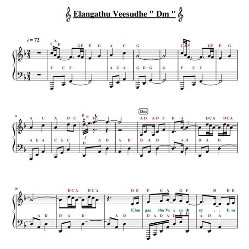 Picture of the product