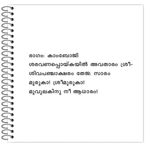 Picture of the product