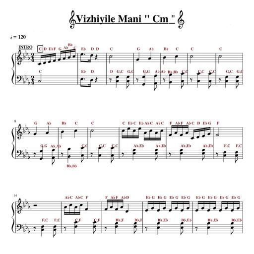 Picture of the product