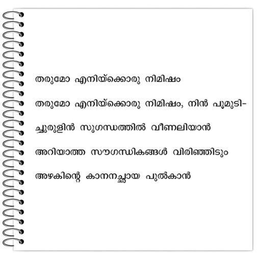 Picture of the product