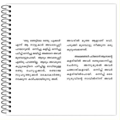 Picture of the product