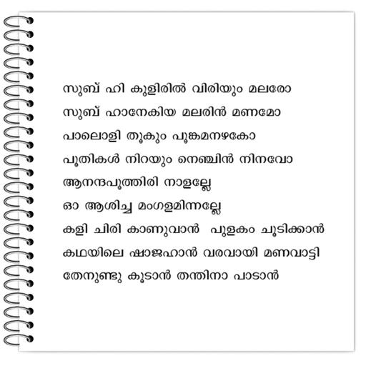 Picture of the product