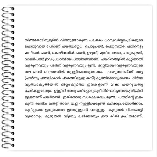 Picture of the product