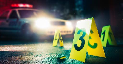 Picture of the category