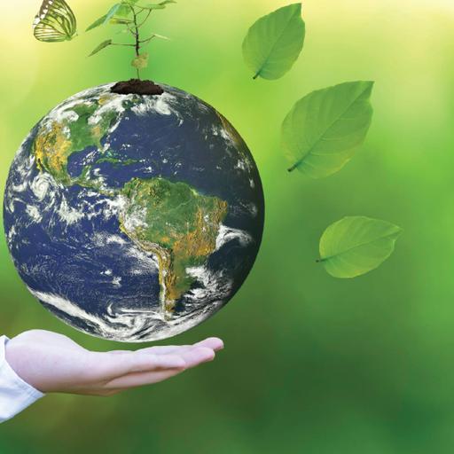 Picture of the product