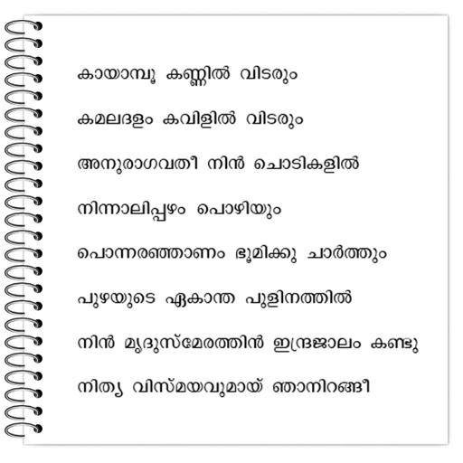 Picture of the product