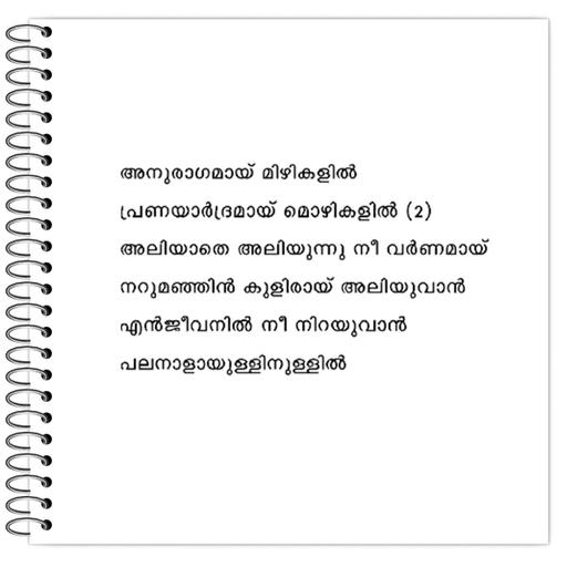 Picture of the product