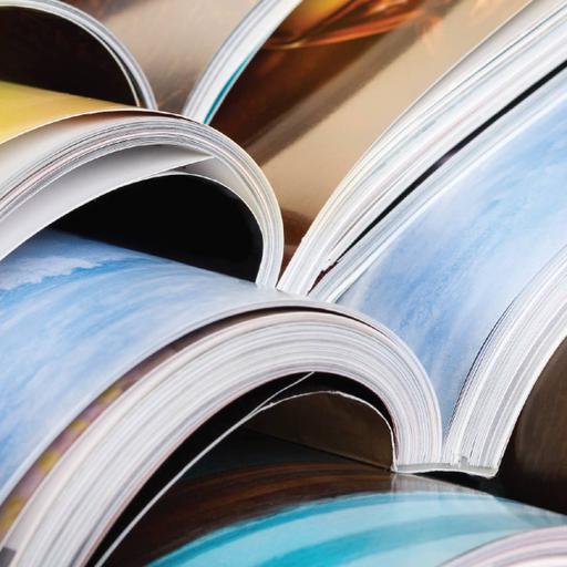 Picture of the product