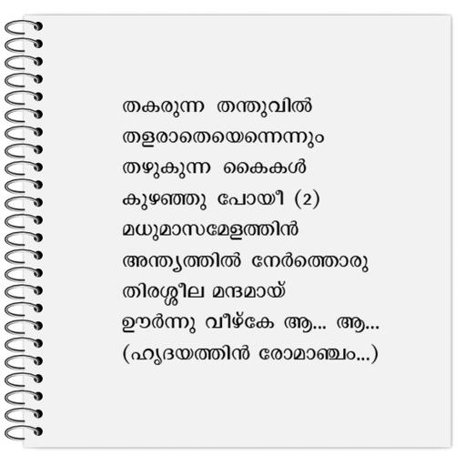 Picture of the product