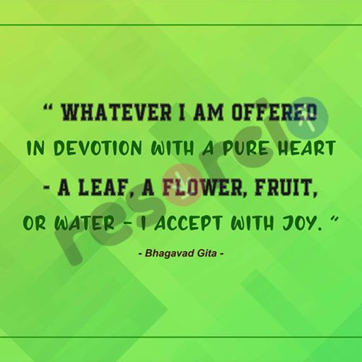 Picture of the product