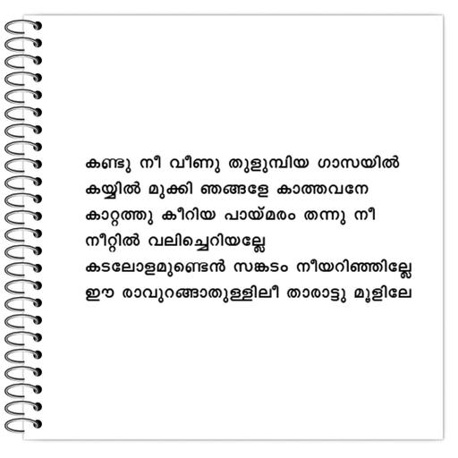 Picture of the product