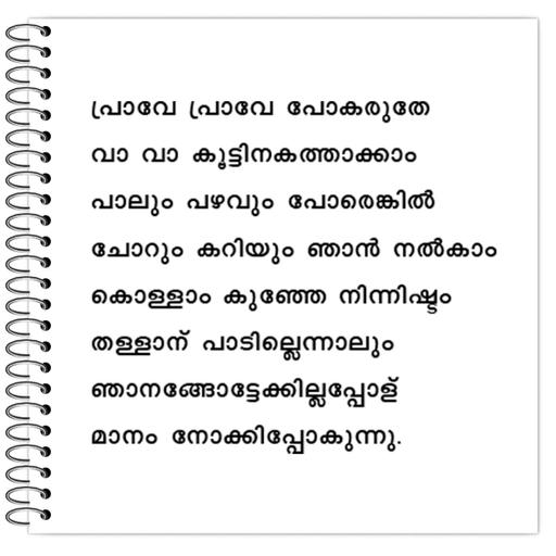 Picture of the product