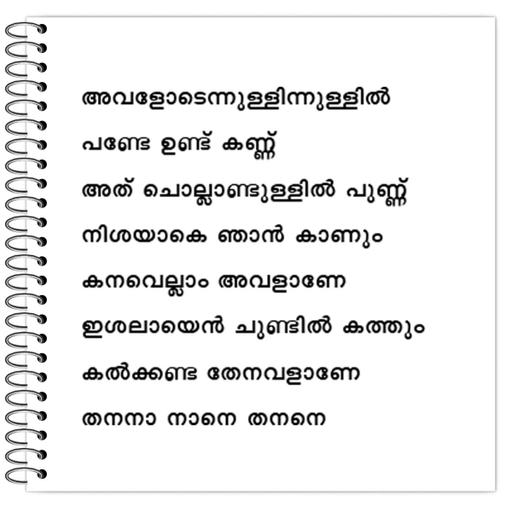 Picture of the product