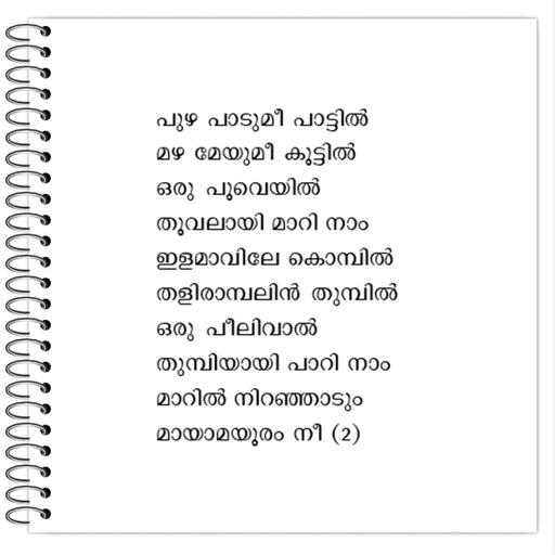 Picture of the product