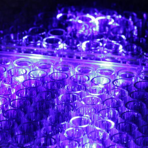 Picture of the product