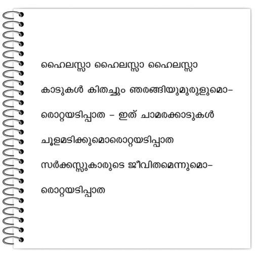 Picture of the product