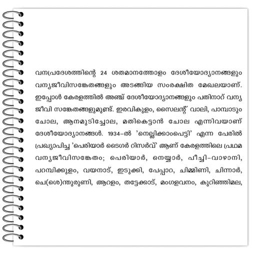 Picture of the product