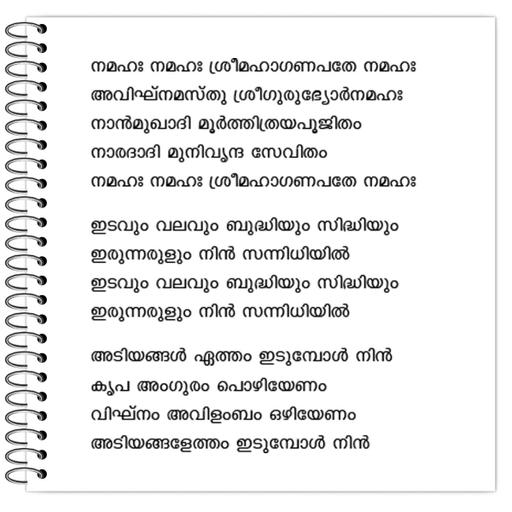 Picture of the product