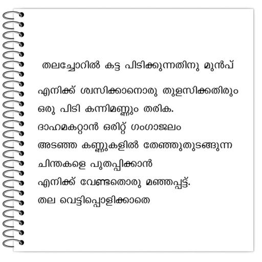 Picture of the product