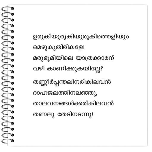 Picture of the product