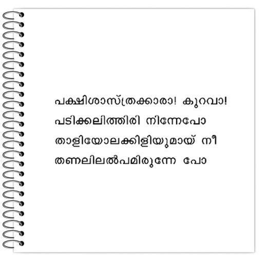 Picture of the product