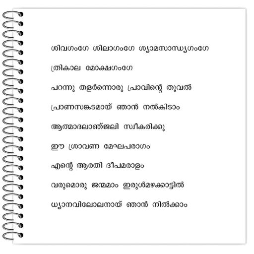 Picture of the product