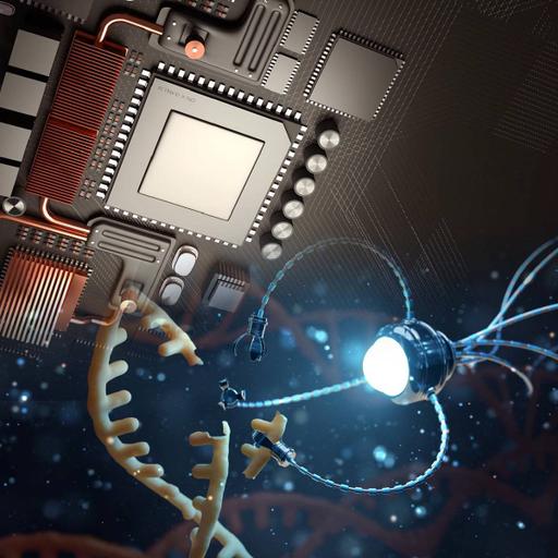 Picture of the product